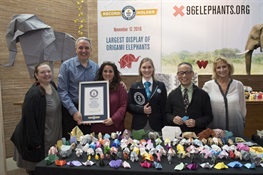 WCS’s 96 Elephants Campaign SMASHES the GUINNESS WORLD RECORDS™Title for Largest Display of Origami Elephants  